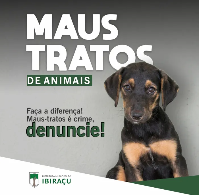 Denuncie Maus-Tratos a Animais: Sua Atitude Pode Salvar Vidas!