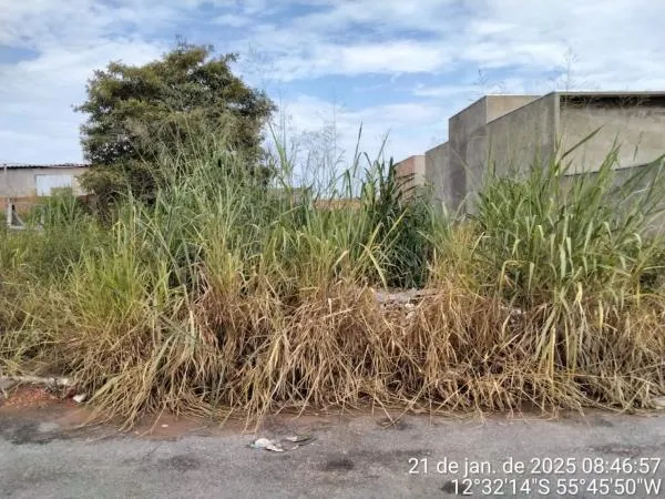 Foto: Reprodução/Prefeitura de Sorriso - MT