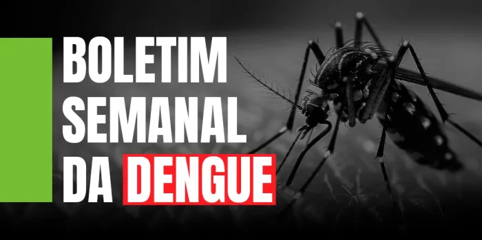 Dengue em SC: situação segue de alerta pelos riscos associados a chuvas e calor no estado