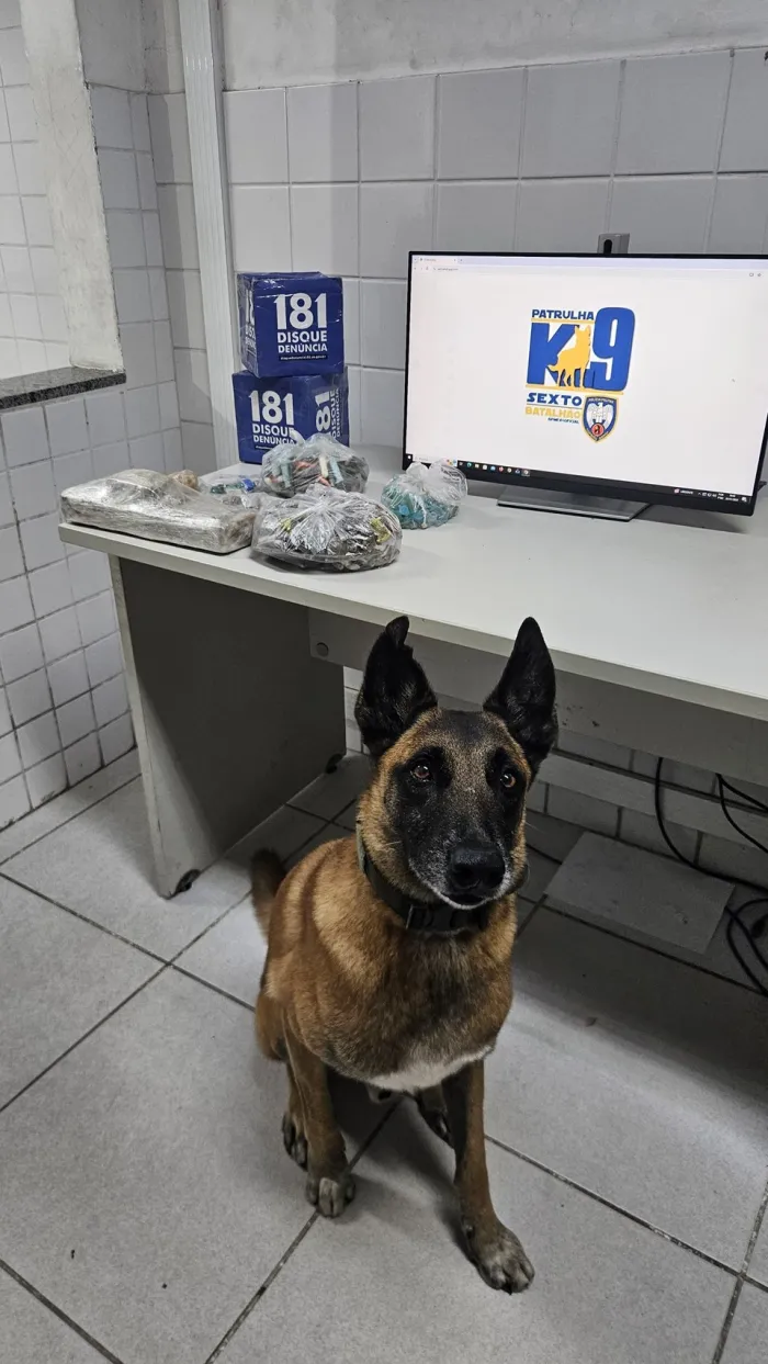 6º BPM apreende drogas escondidas em mangue na Serra