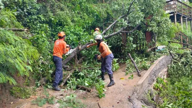 Foto: Reprodução/Prefeitura de São Sebastião - SP