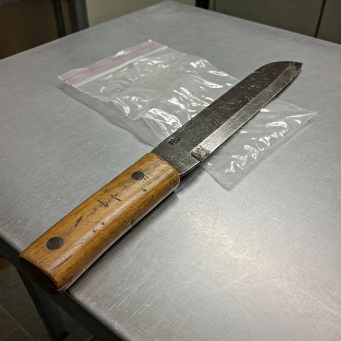 Foto: Divulgação/PM - MS