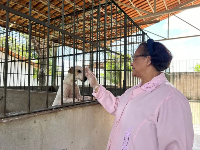 Saúde: Castração, doação de animais e vacinação antirrábica são alguns serviços do CCZ