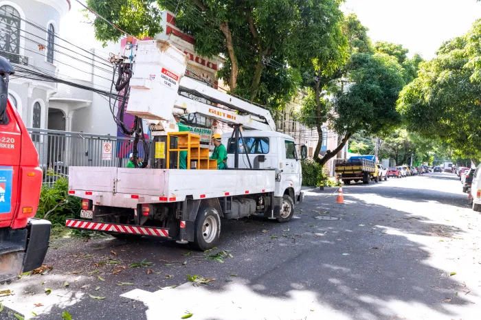 Prefeitura mapeia árvores em risco e acelera manutenção em Belém