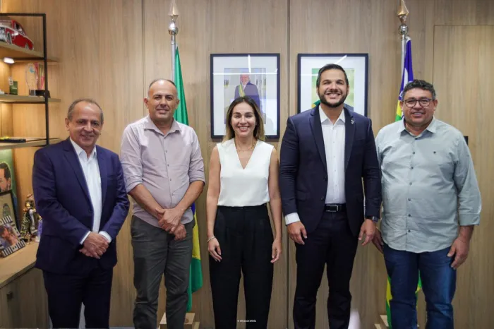 Seduc e Pacto pelas Crianças do Piauí realizam reunião com prefeitos para avançar na educação infantil