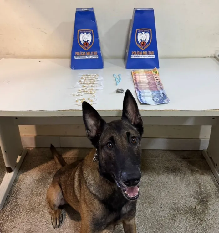 Polícia Militar realiza apreensões e recupera veículo roubado em Guarapari