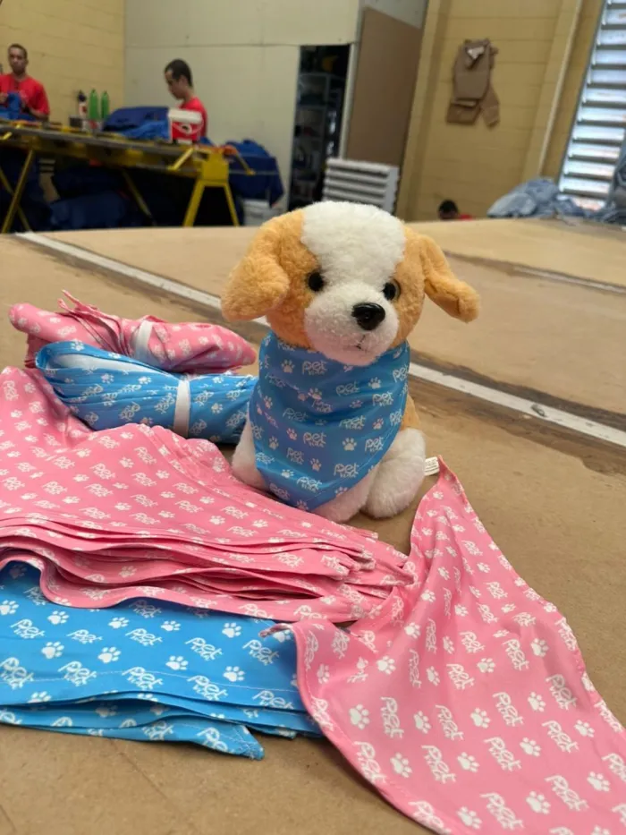 Internos do sistema prisional confeccionam bandanas pets