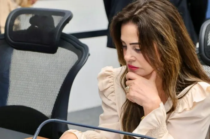 Mara Caseiro reafirma a necessidade de recuperação asfáltica da MS-295 