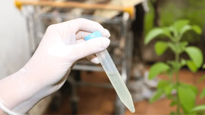 Jeniffer Maciel / SMCS