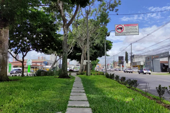 Plantio de grama no canteiro central transforma a Getúlio Vargas