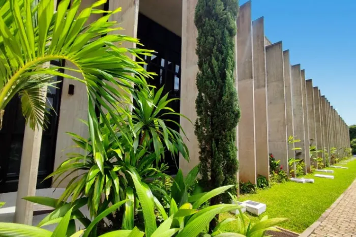 Agenda: Reunião da Comissão de Acompanhamento das Mães Atípicas é destaque