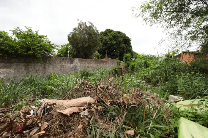 Terreno sujo gera multas e pode ser denunciado via WhatsApp