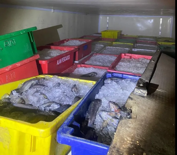 Polícia Militar apreende 8 toneladas de peixes transportados ilegalmente no Piauí