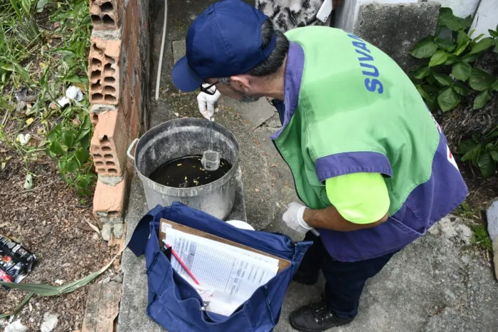 Saúde intensifica ações de combate ao mosquito da dengue