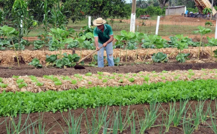 Foto: Reprodução/ALE-RO