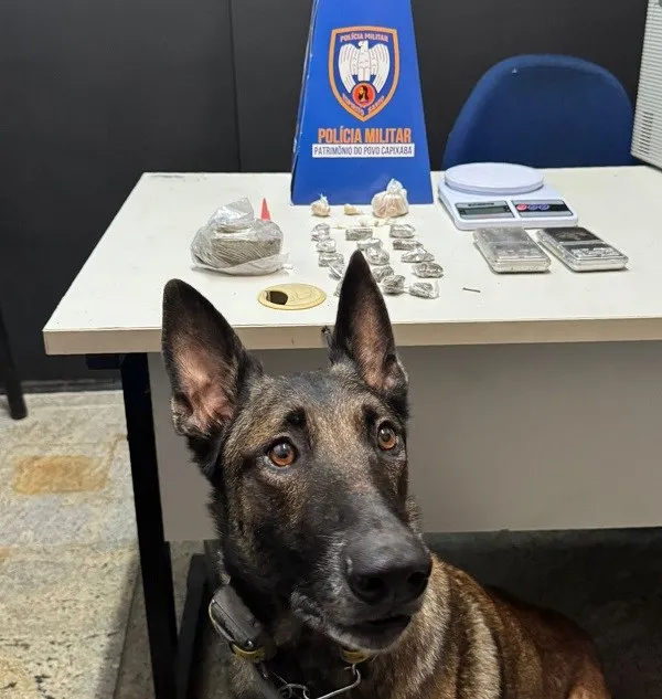 PM apresenta balanço das apreensões do final de semana em Guarapari