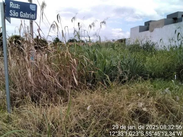 Foto: Reprodução/Prefeitura de Sorriso - MT