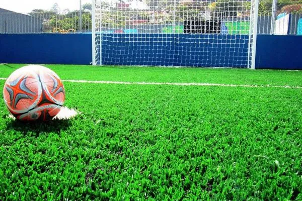 Foto: Reprodução/Câmara de Sorriso - MT