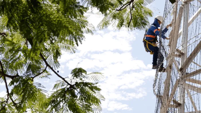 Árvore de Natal é retirada da Represa para manutenção