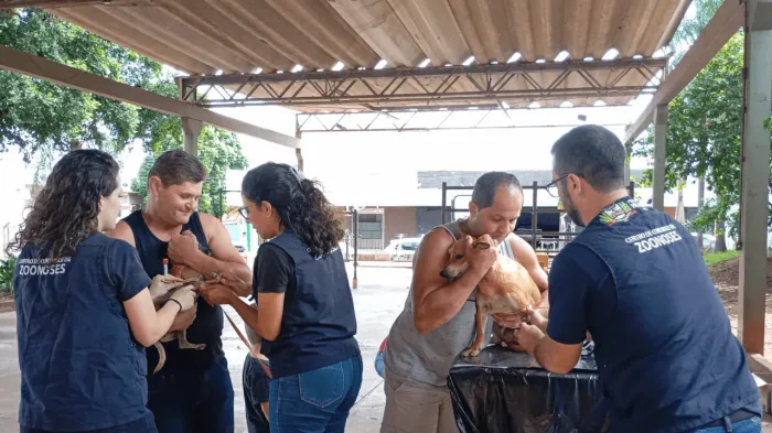 Zoonoses leva vacinação antirrábica ao São Francisco