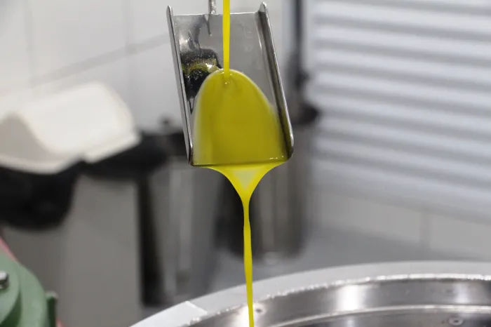 Azeitech 2025: debate técnico visa conexão entre pesquisa e setor produtivo