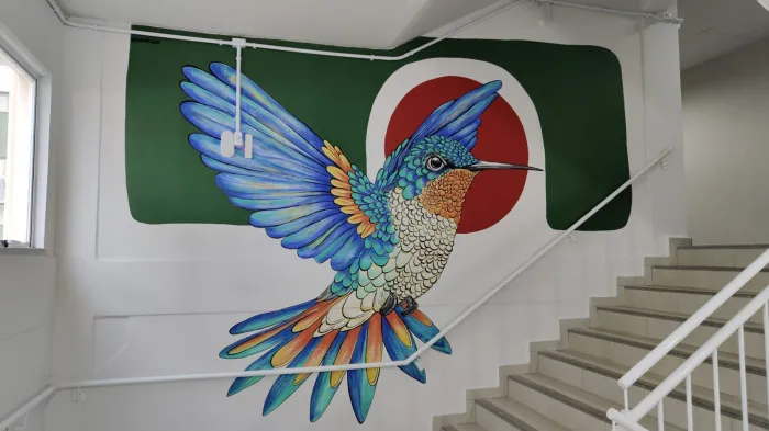 Muralista transforma prédio da Udesc Alto Vale e dá nova vida ao campus