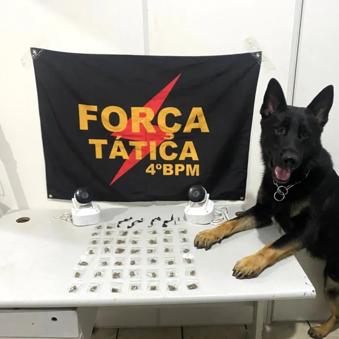 Foto: Reprodução/Polícia Militar - ES