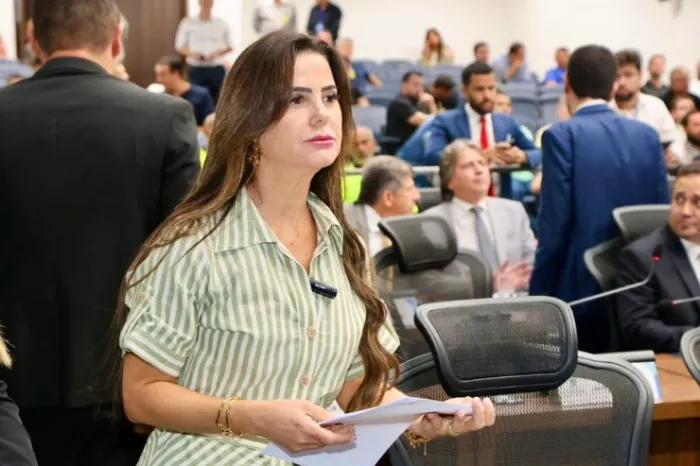 Mara Caseiro pede a instalação de ar-condicionado em escola de Paraíso das Águas