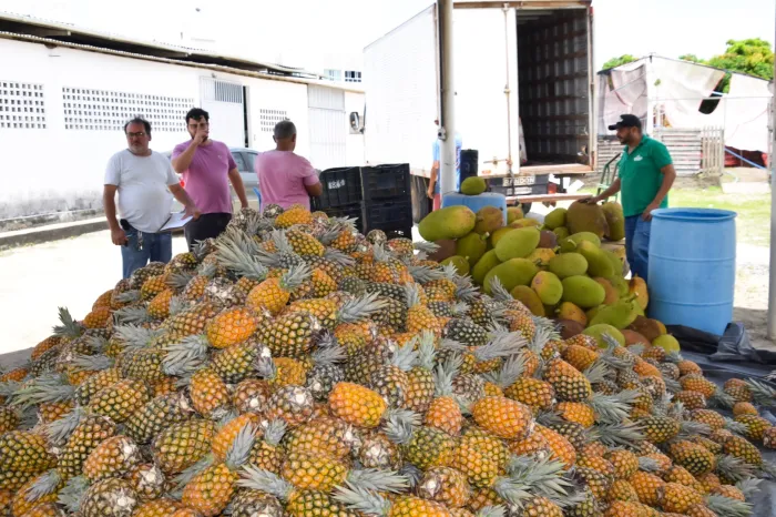 Foto: Reprodução/Secom Paraíba