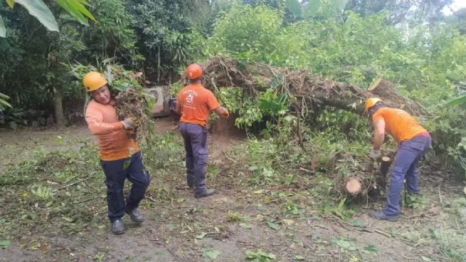 Defesa Civil de São Sebastião atende mais de 280 ocorrências em janeiro