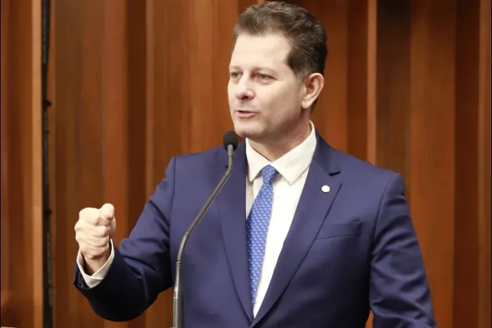 Além da investigação sobre as mortes de tamanduás-bandeira, o deputado Renato Câmara também solicitou urgência na recuperação da MS-244, essencial para o escoamento agropecuário e a segurança viária.