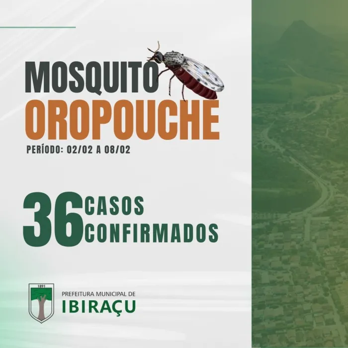Atualização Epidemiológica Oropouche: 02/02/2025 a 08/02/2025