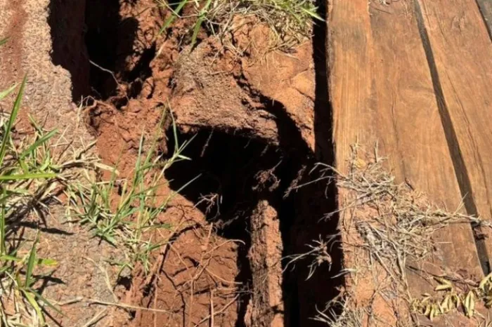 Campo Grande: Zé Teixeira pede urgência na reconstrução de ponte