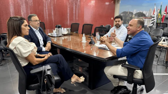 Combate à violência contra a mulher é tema de reunião com promotores