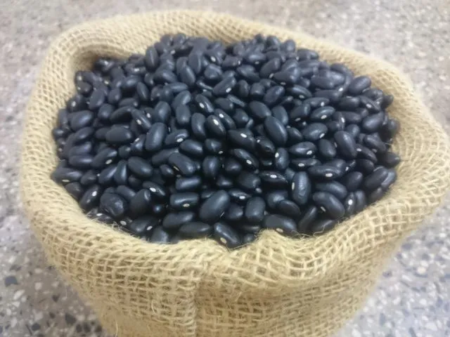 Foto: Reprodução/Secom SC