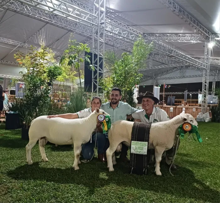 Foto: Reprodução/Secom SC