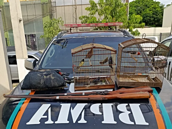 Aves silvestres, macaco-prego e espingardas artesanais são apreendidos pela PMCE em Itapipoca