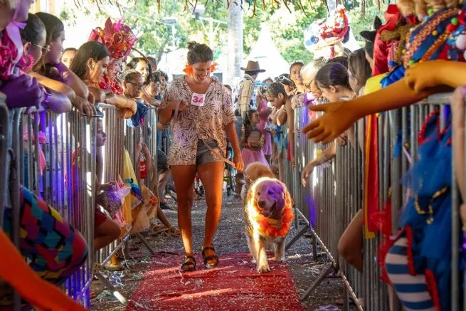 Carnapet em São Sebastião promete muita diversão aos foliões e seus pets no sábado de Carnaval
