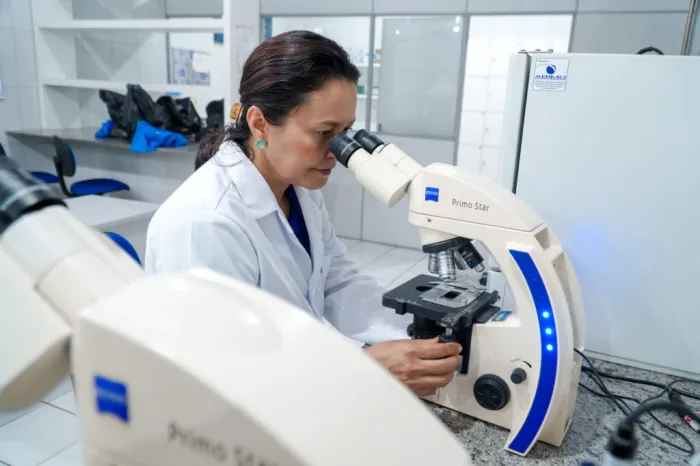 Pesquisadores da Uema lançam startup que transforma pele de peixe em couro sustentável