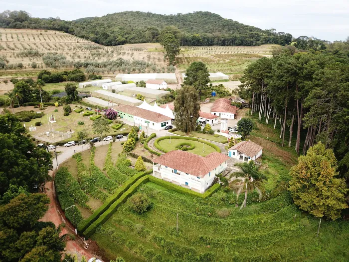 Azeitech 2025 acontece nesta sexta-feira (21/2), em Maria da Fé