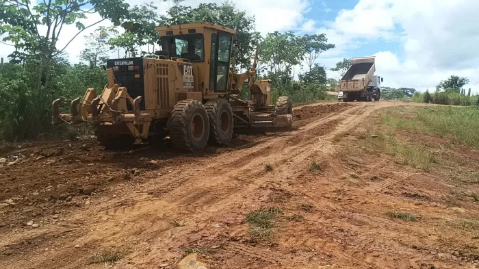 Foto: Reprodução/ALE-RO