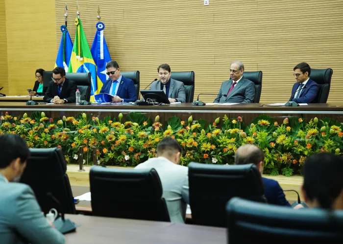 Foto: Reprodução/ALE-RO