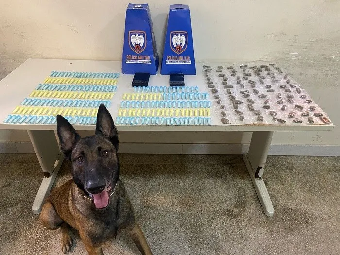 10ºBPM apreende droga em Guarapari