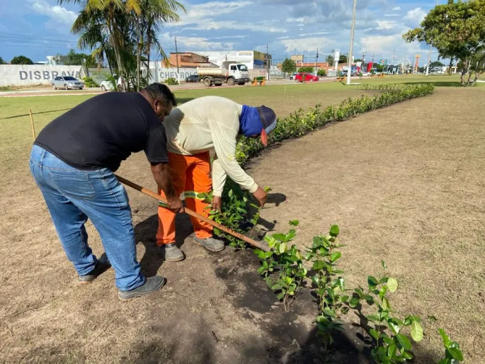 SSAM: Praça do Maçom ganha cuidados especiais da Equipe de Paisagismo