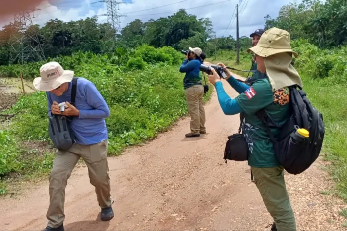 Foto: Humberto Costa - Coapa