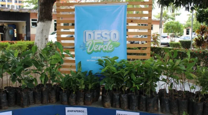 Programa ‘Deso + Verde’ disponibiliza mudas arbóreas para doação