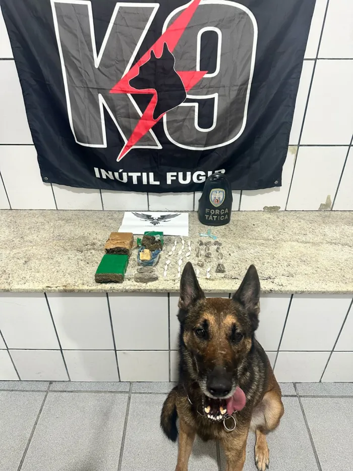 Militares do 2º BPM apreende drogas em Boa Esperança