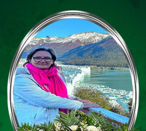 Foto: Reprodução/Câmara de Sorriso - MT