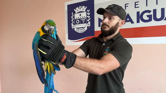 Guarda Municipal Ambiental de Nova Iguaçu resgata arara-canindé e jiboia