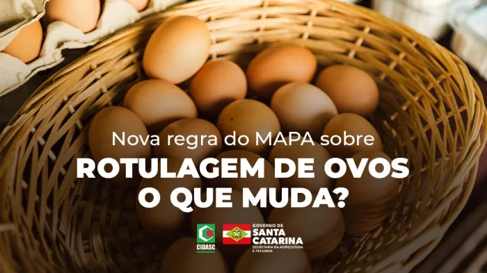 Cidasc esclarece que nova portaria do Mapa sobre rotulagem de ovos